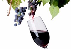 wine_grapes_glass